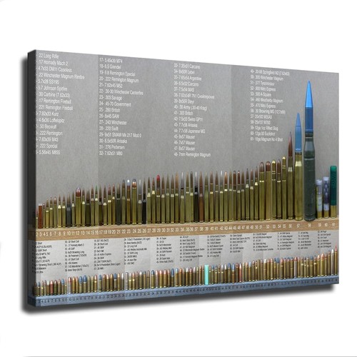 American bullet caliber chart - bullet,